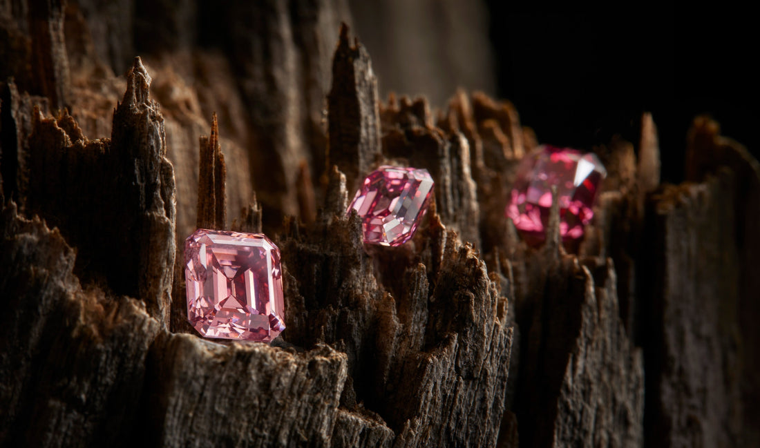 Inside the Argyle Tender: A Legacy of Rarity